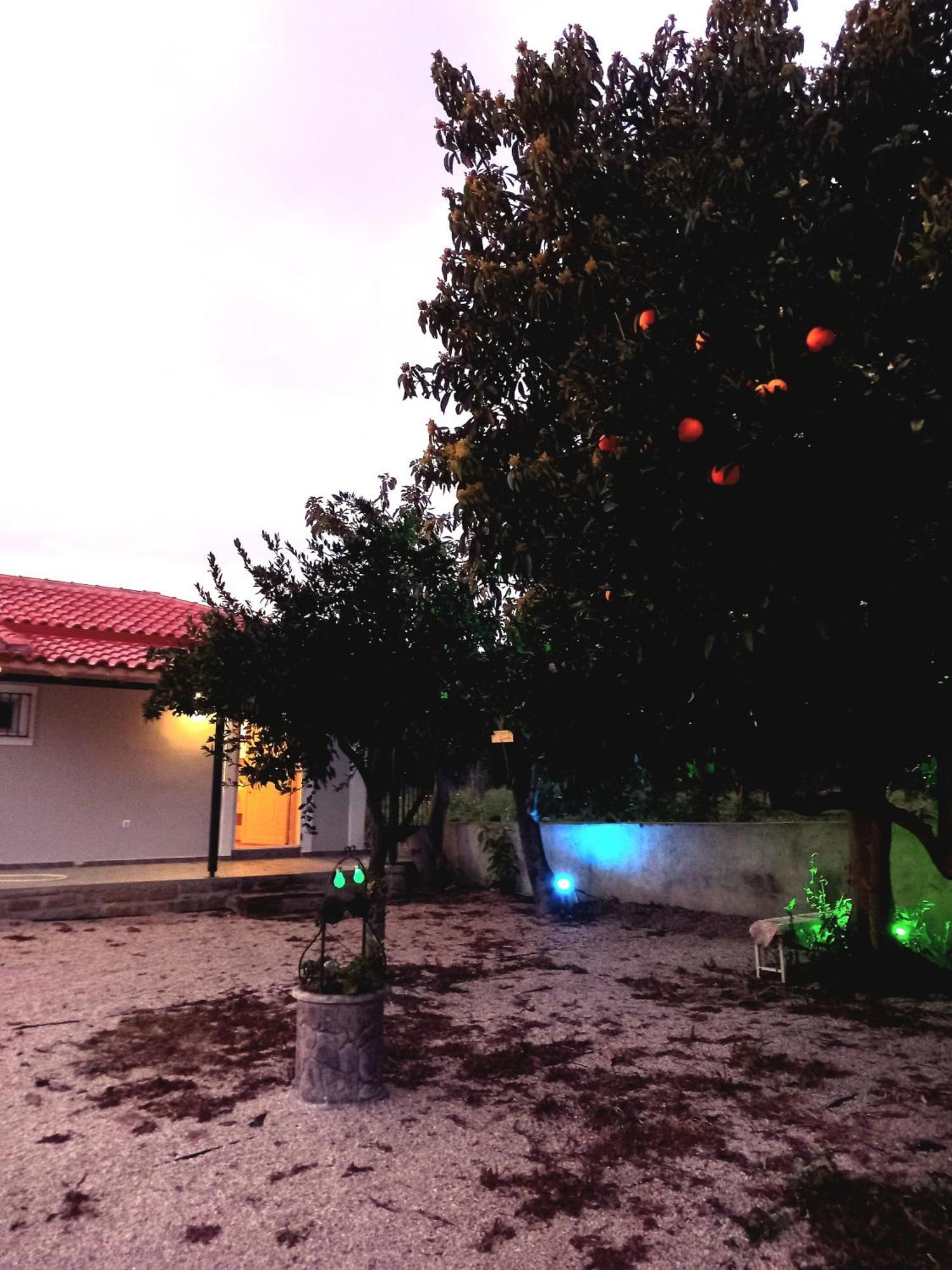 Avocado House Villa Finikounta Exterior foto