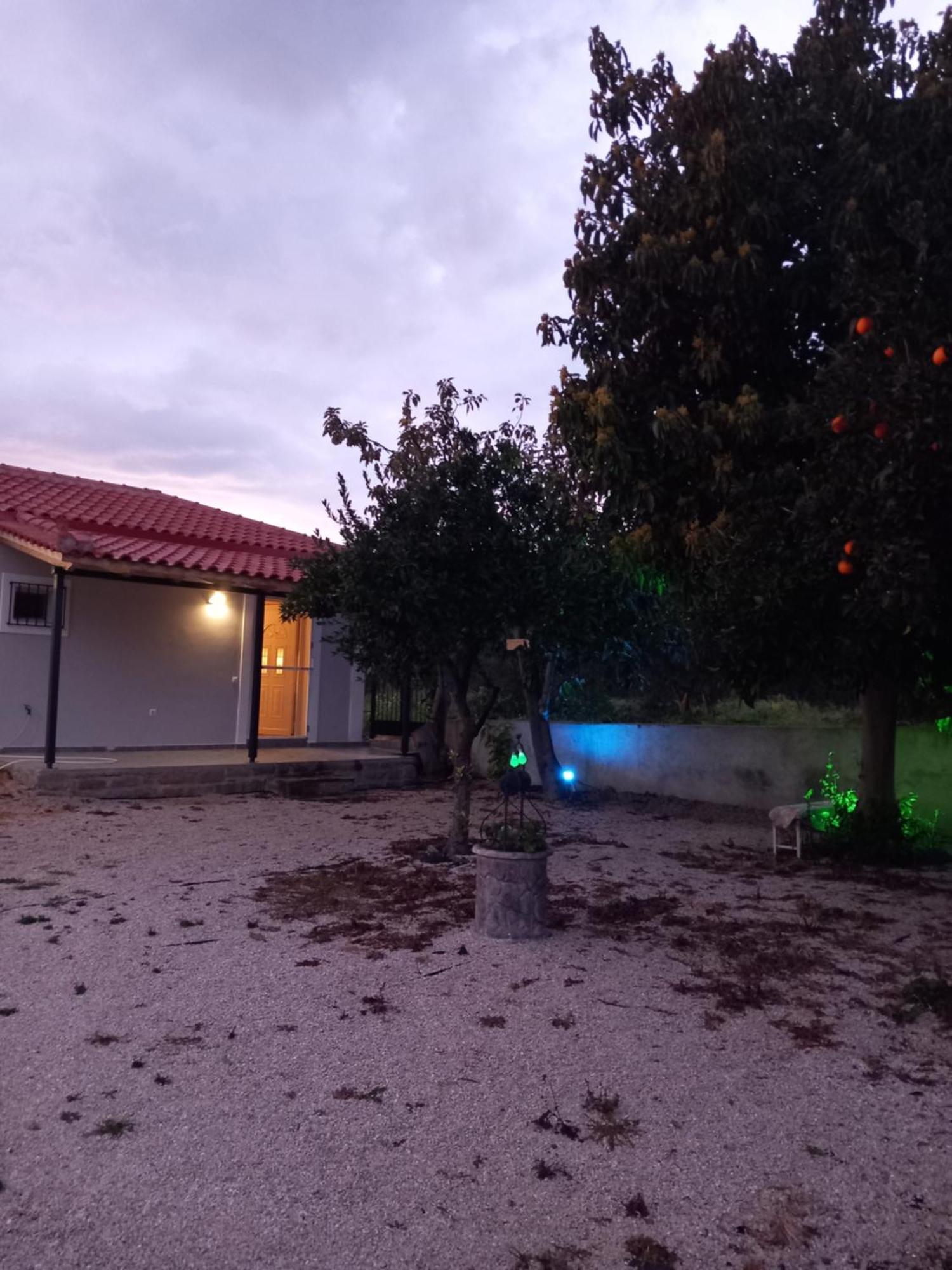 Avocado House Villa Finikounta Exterior foto